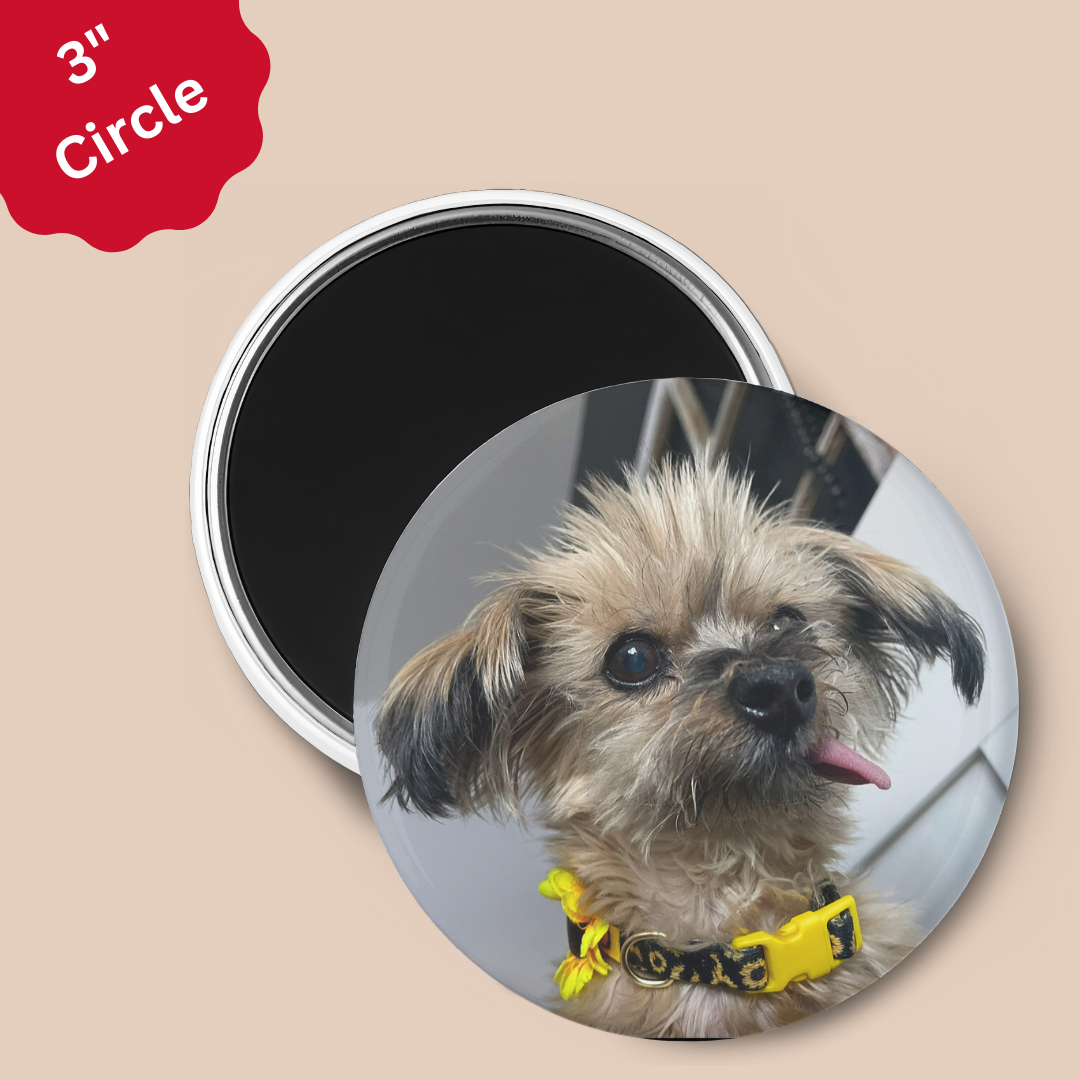 3" Circle Custom Photo Magnet